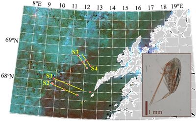 Figure 2. Sampling transects and Calanus finmarchicus.Image credit David McKee, University of Strathclyde