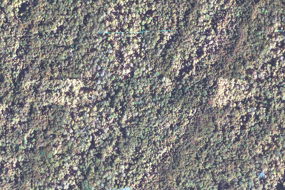 Impact Image